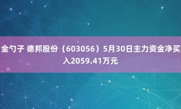金勺子 德邦股份（603056）5月30日主力资金净买入2059.41万元