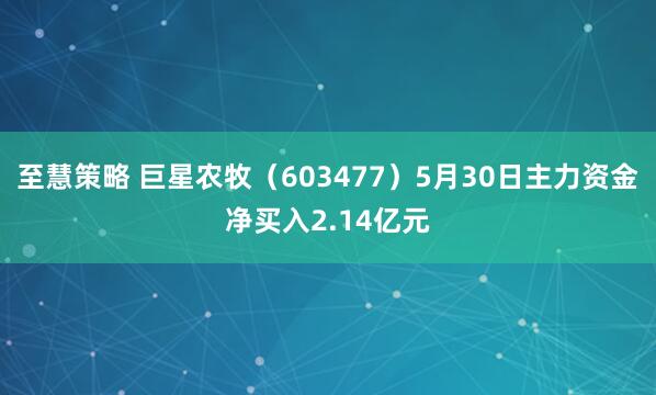 至慧策略 巨星农牧（603477）5月30日主力资金净买入2.14亿元