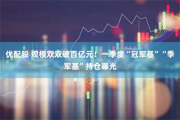 优配股 规模双双破百亿元！一季度“冠军基”“季军基”持仓曝光