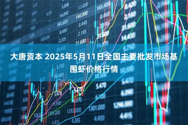 大唐资本 2025年5月11日全国主要批发市场基围虾价格行情