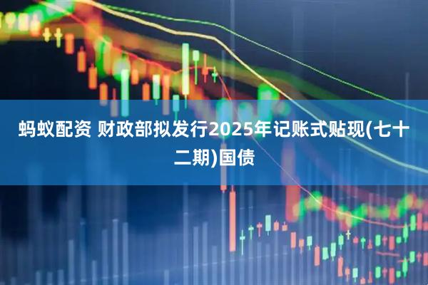 蚂蚁配资 财政部拟发行2025年记账式贴现(七十二期)国债