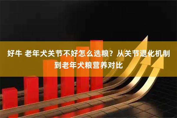 好牛 老年犬关节不好怎么选粮？从关节退化机制到老年犬粮营养对比